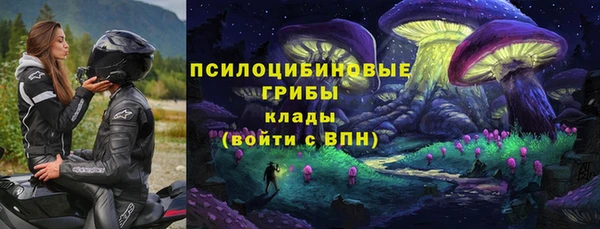 прущие грибы Рославль